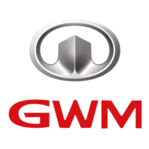 GWM P300