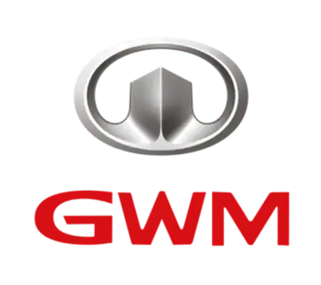 GWM P300