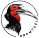 Bromvoel_tr